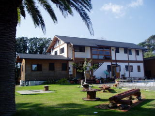 �y���V�����@�؂̂�����